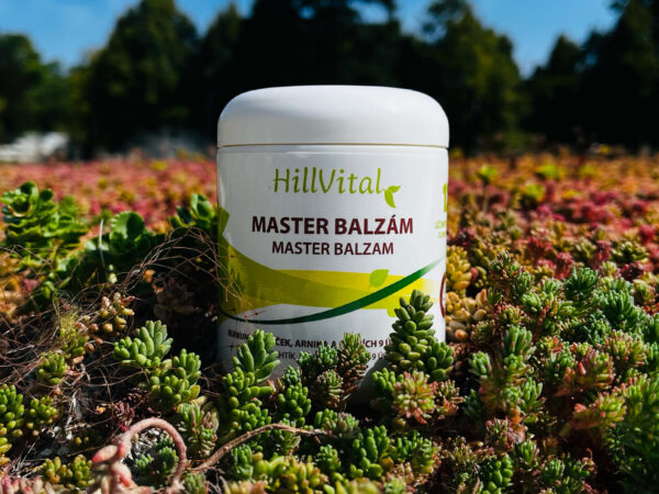 HillVital Master balzam 250 ml